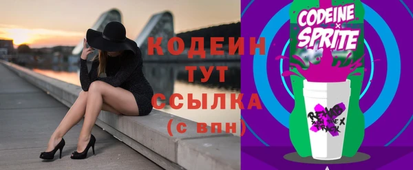 гашик Мегион