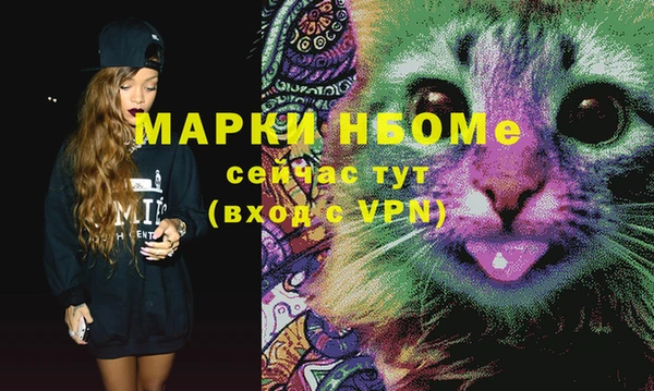 стафф Бронницы