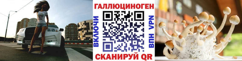 Галлюциногенные грибы Psilocybine cubensis  kraken как зайти  Вичуга 