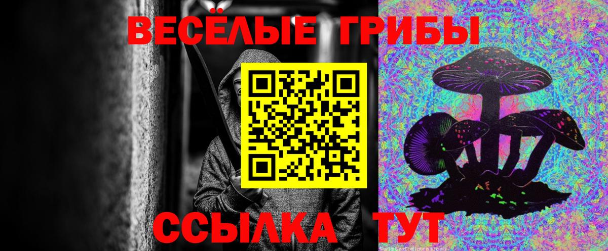 Псилоцибиновые грибы Magic Shrooms  Вичуга  Галлюциногенные грибы GOLDEN TEACHER 