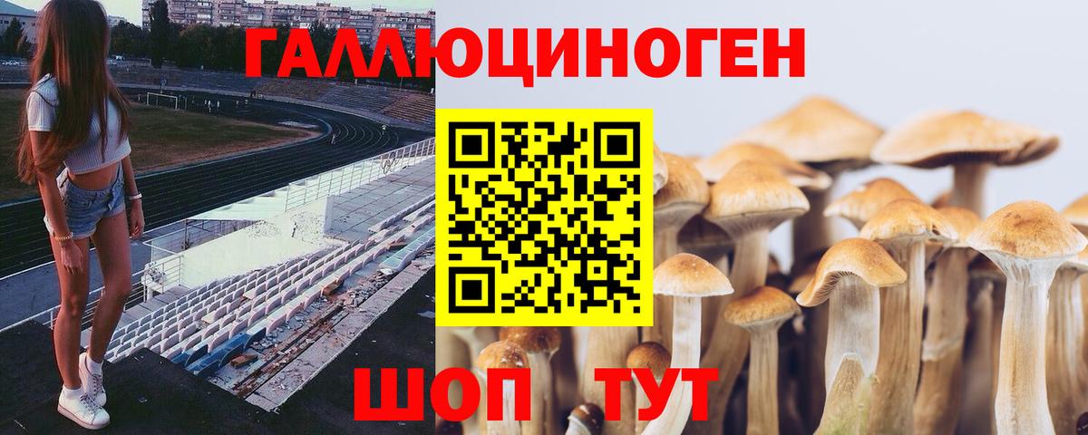 Вичуга  сколько стоит  Вход с VPN  Галлюциногенные грибы Magic Shrooms 